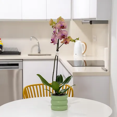 Canteras At Marina 19 Apartment Las Palmas de Gran Canaria