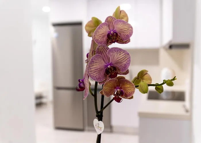 Canteras At Marina 19 Las Palmas